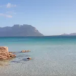 Vasiliki *