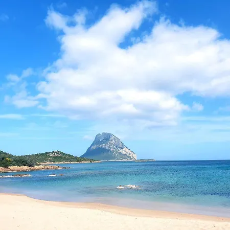 Vasiliki *