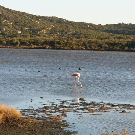 بيت للعطل Vasiliki *