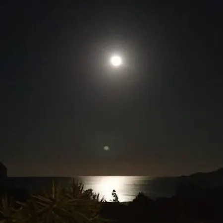 Vasiliki *