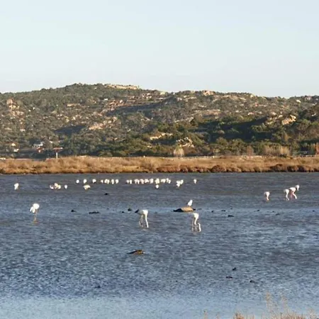 بيت للعطل Vasiliki *