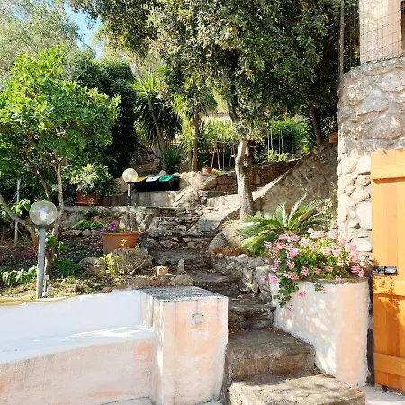 Vasiliki *