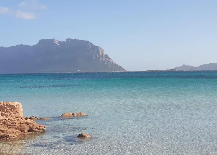 Vasiliki *