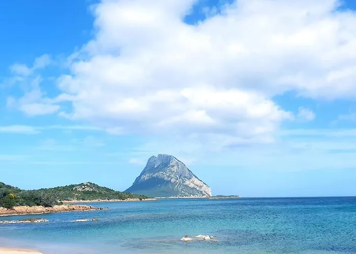 Vasiliki *