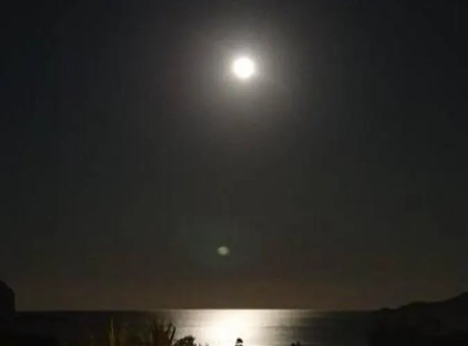 Vasiliki *