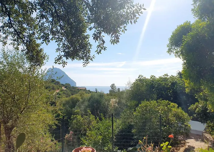 Tatil Evi Vasiliki