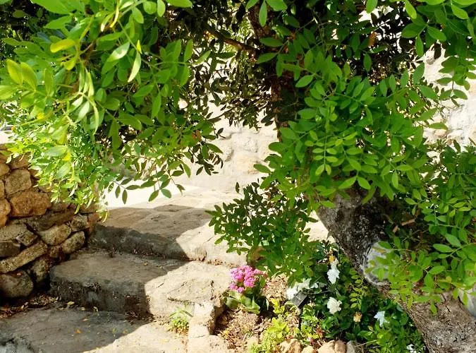 Tatil Evi Vasiliki