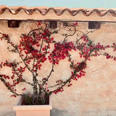 Prázdninový dům Vasiliki