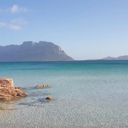 Vasiliki *