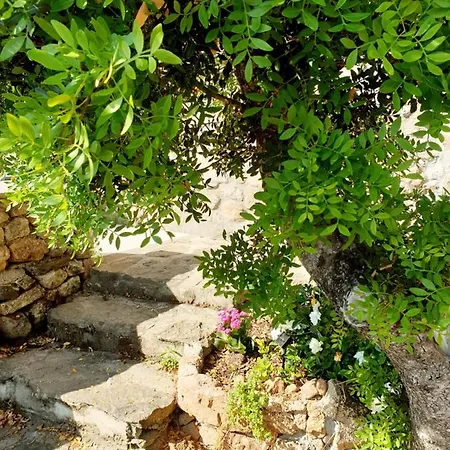 Prázdninový dům Vasiliki